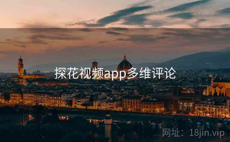 探花视频app多维评论