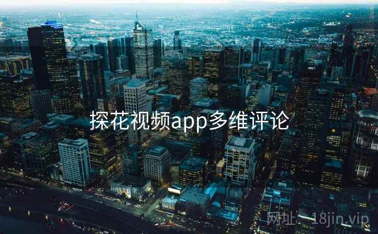 探花视频app多维评论