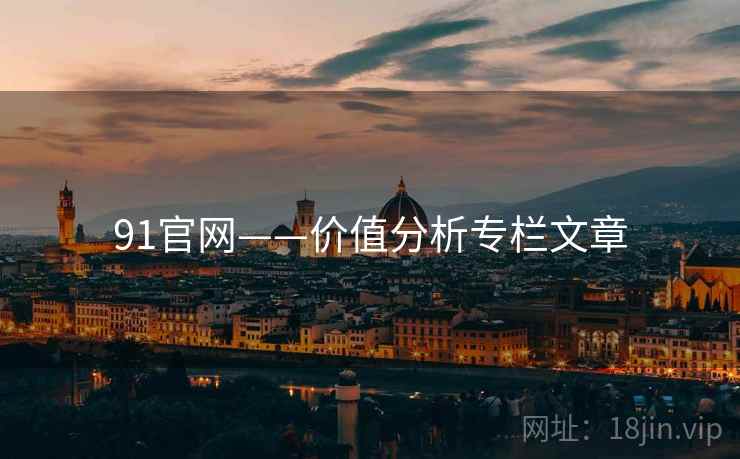91官网——价值分析专栏文章