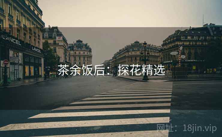 茶余饭后：探花精选