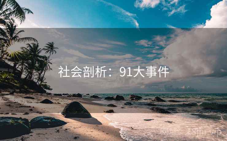社会剖析：91大事件