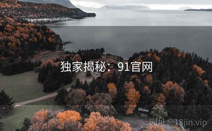 独家揭秘：91官网