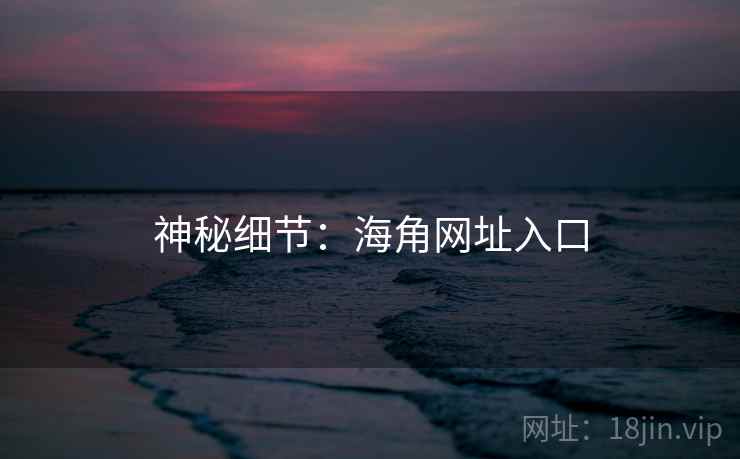 神秘细节：海角网址入口