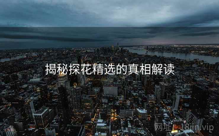 揭秘探花精选的真相解读