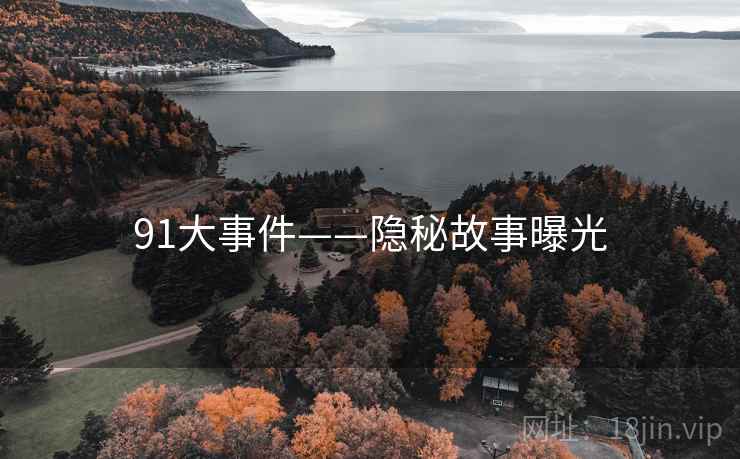 91大事件——隐秘故事曝光