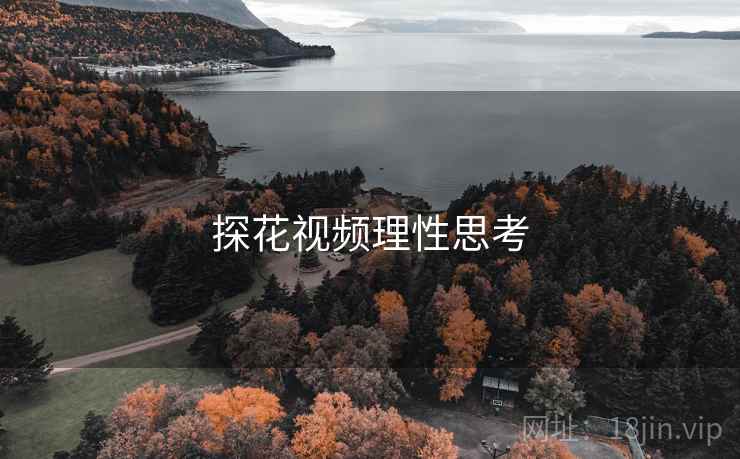 探花视频理性思考