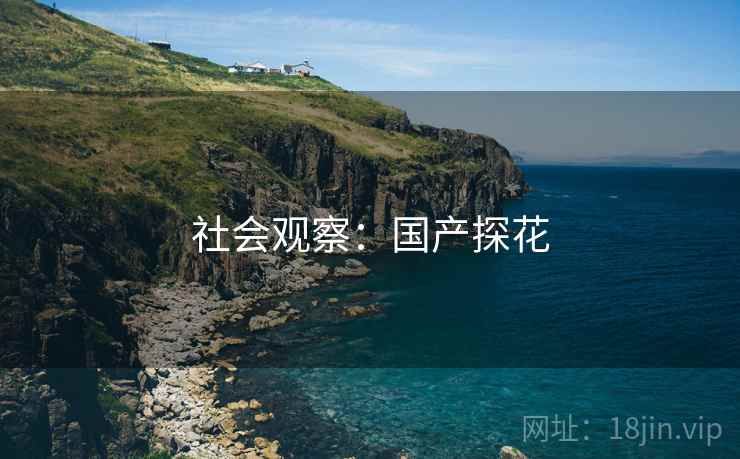 社会观察：国产探花