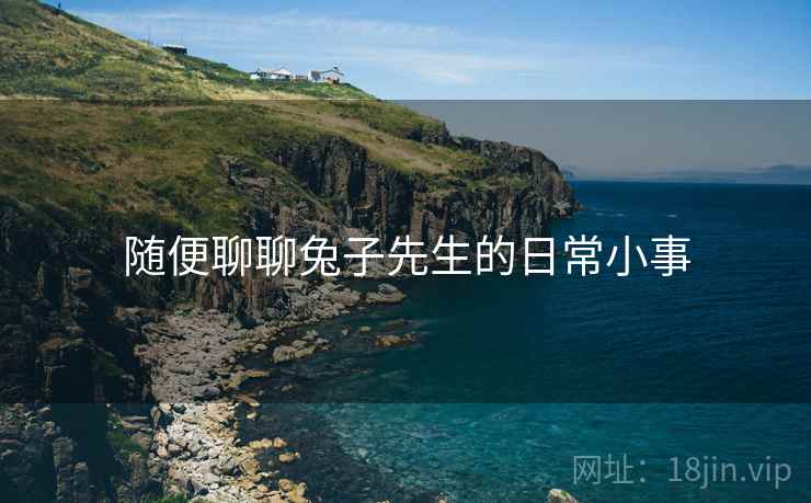 随便聊聊兔子先生的日常小事