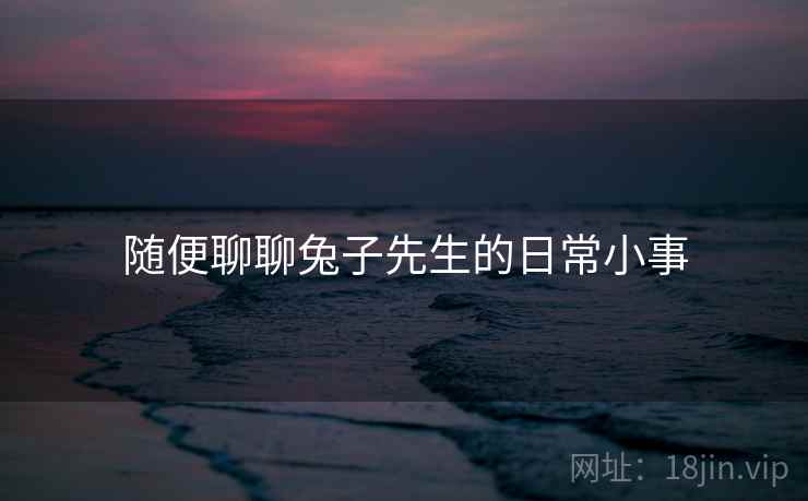 随便聊聊兔子先生的日常小事