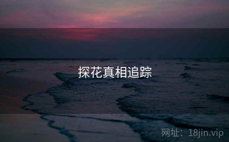 探花真相追踪