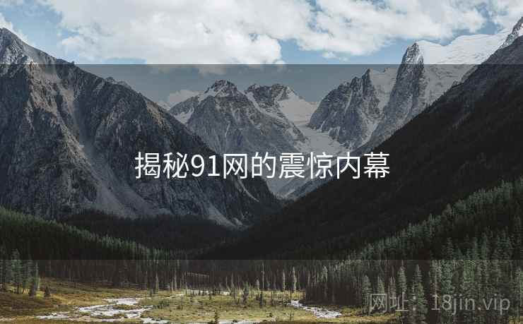 揭秘91网的震惊内幕