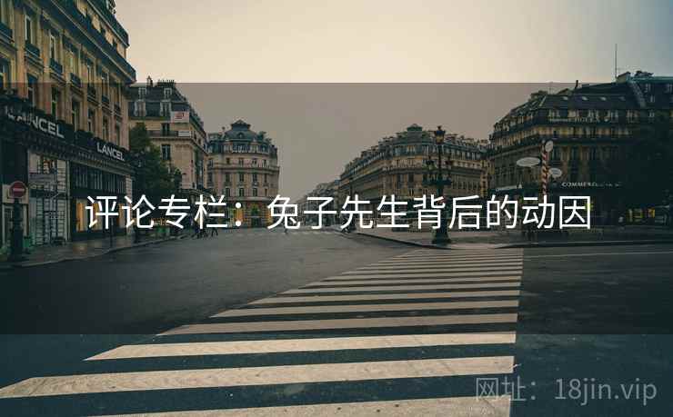 评论专栏:兔子先生背后的动因