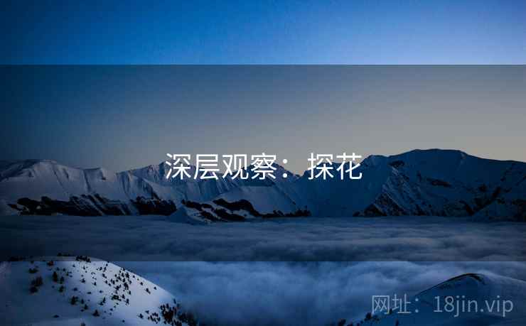 深层观察:探花