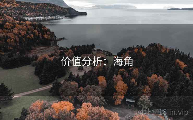 价值分析:海角