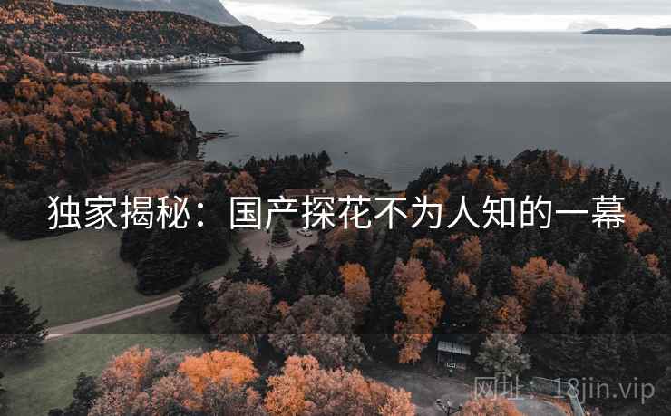 独家揭秘:国产探花不为人知的一幕