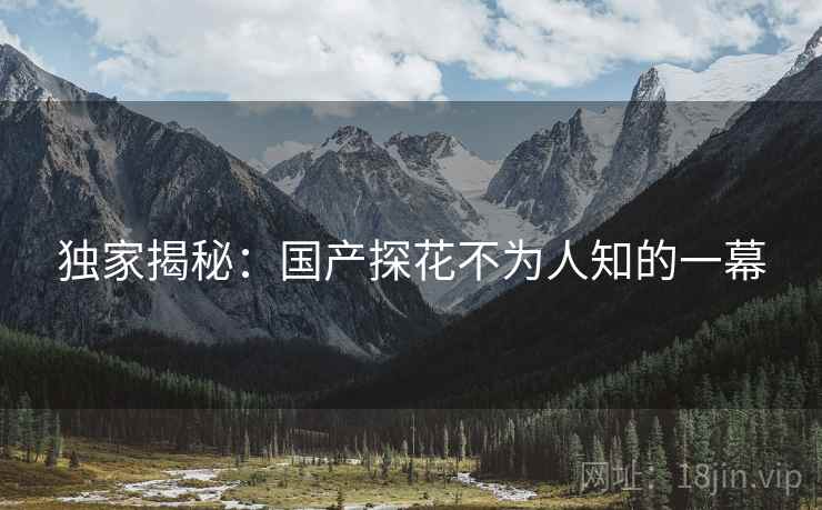独家揭秘:国产探花不为人知的一幕