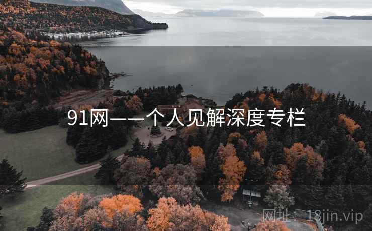 91网——个人见解深度专栏