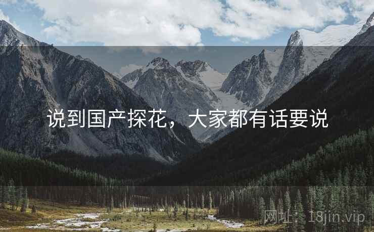 说到国产探花,大家都有话要说