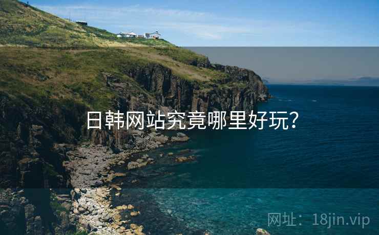 日韩网站究竟哪里好玩?