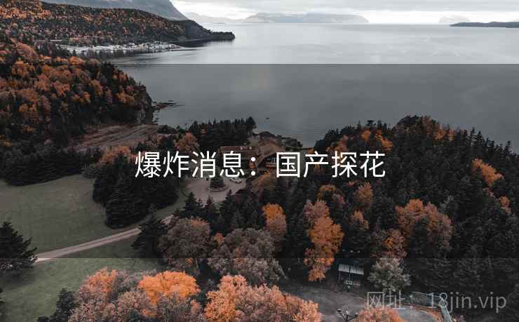 爆炸消息:国产探花