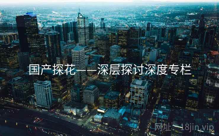 国产探花——深层探讨深度专栏