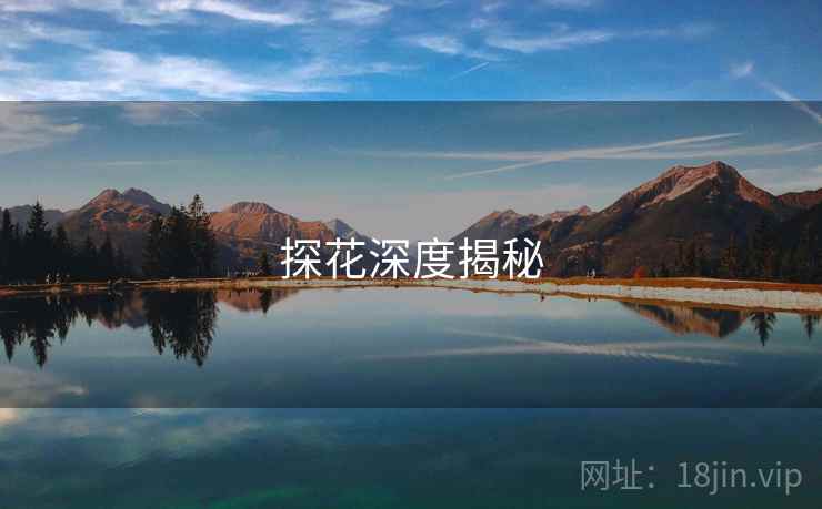 探花深度揭秘